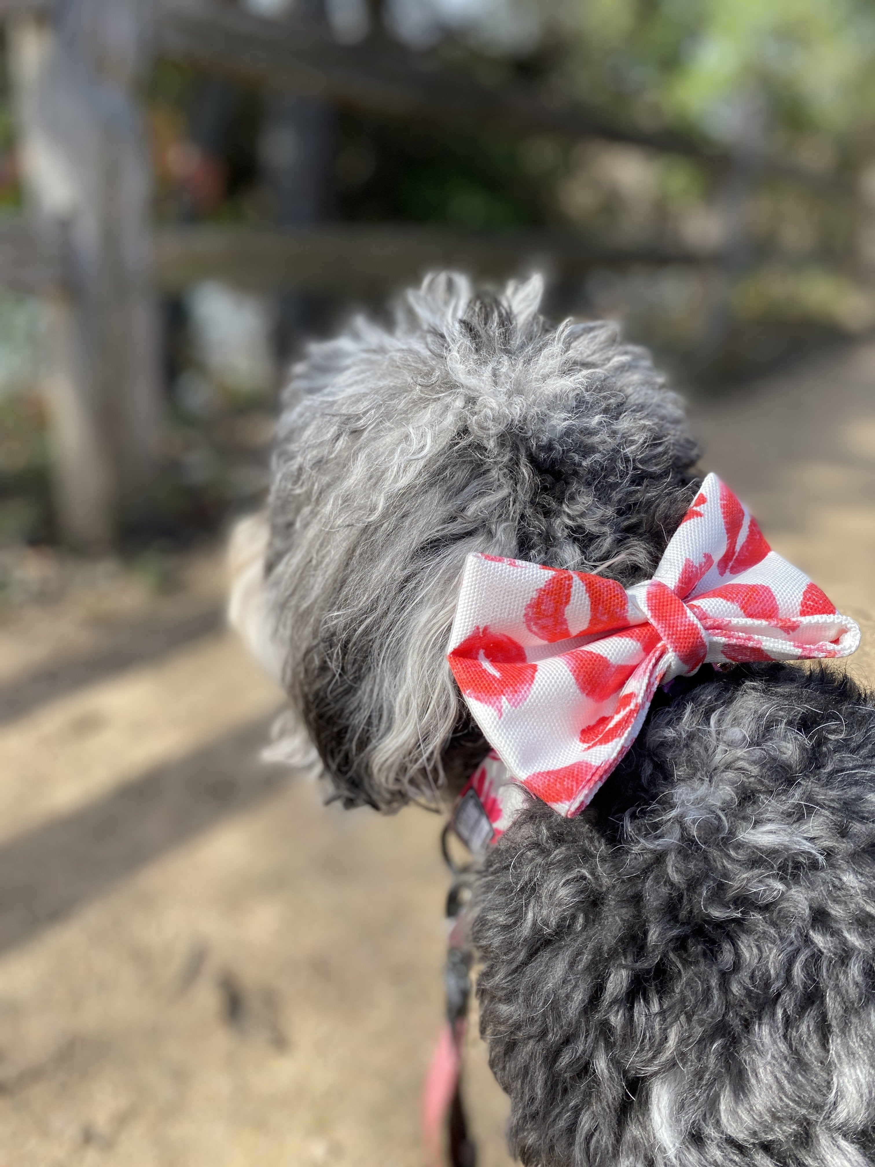 Designer Dog Harness / Dog Harness With Bow Tie / Small Dog -  Israel