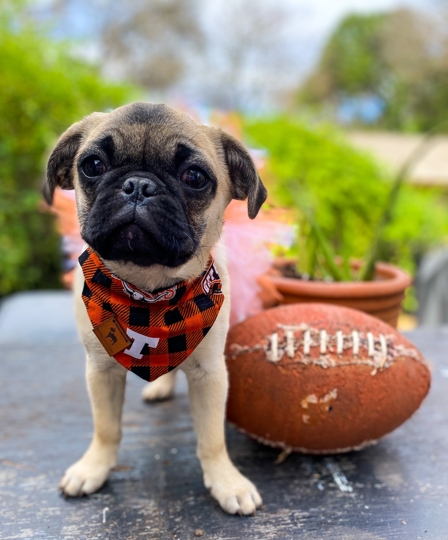 Green Bay Packers Heart Dog Bandana