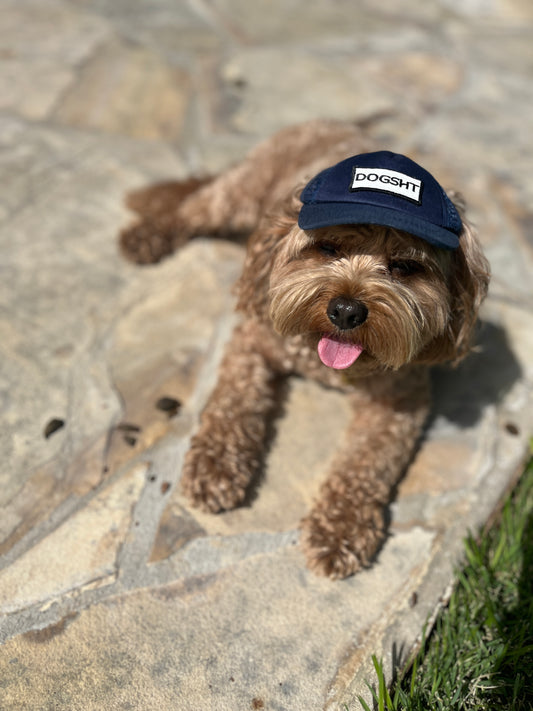 DOGSHT Hats for Dogs