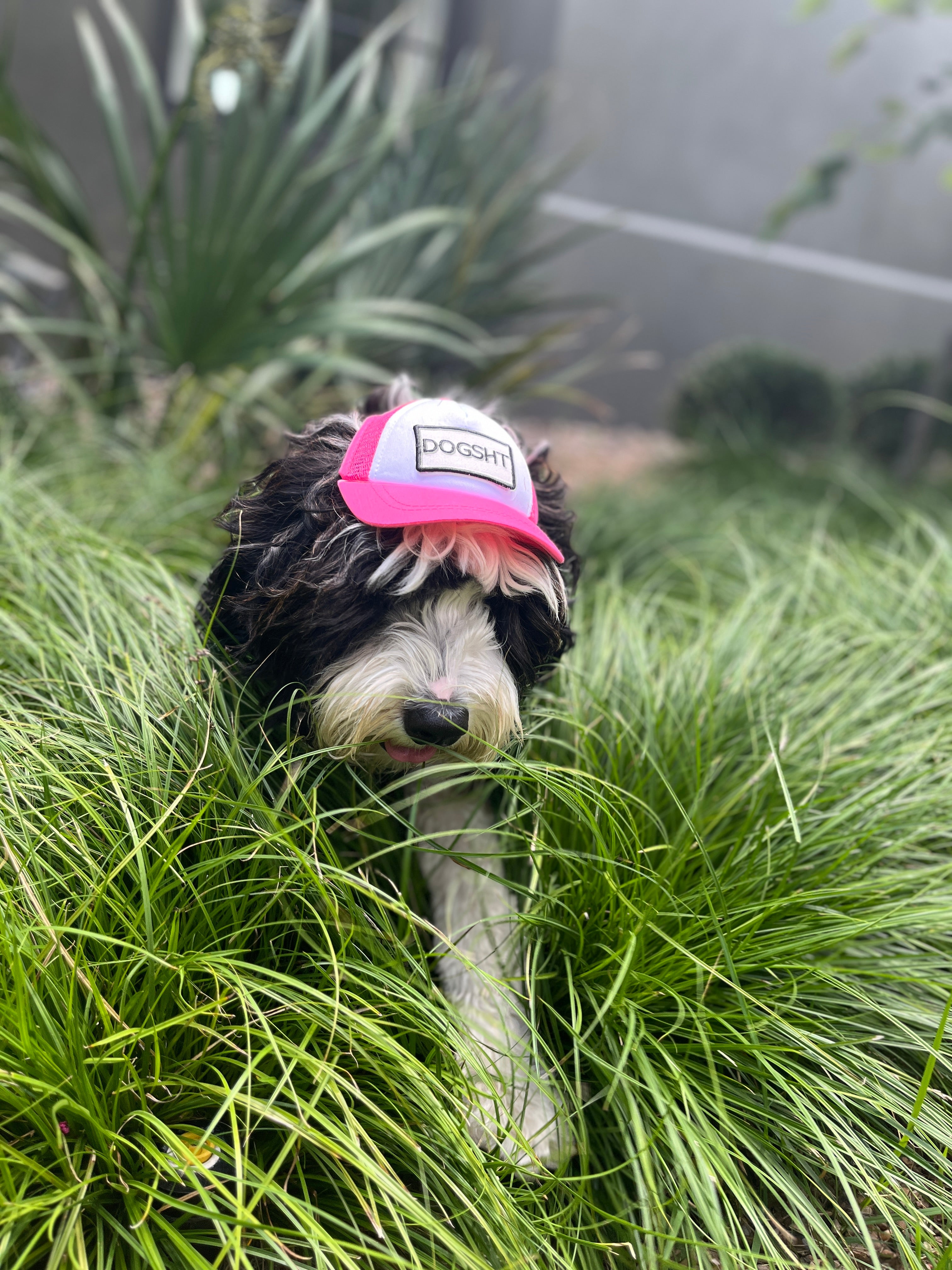 DOGSHT Hats for Dogs